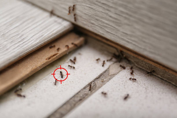 Best Pest Inspection Near Me  in Trussville, AL