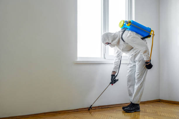 Best Wasp Removal Services  in Trussville, AL