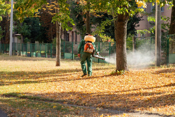 Best Termite Control Services  in Trussville, AL