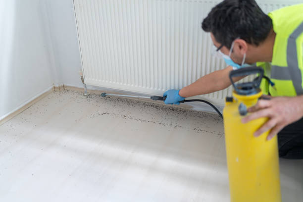 Professional Pest Control in Trussville, AL